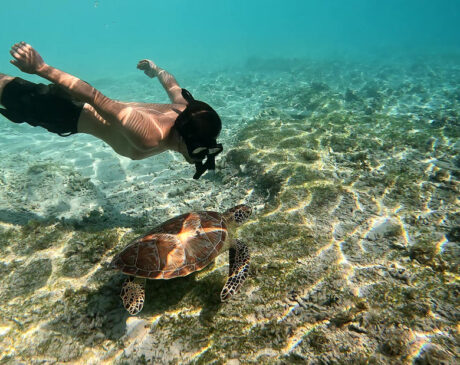 Basti beim Schnorcheln Gili Meno mit Meeresschildkröte auf Sanboden