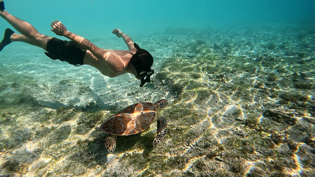 Basti beim Schnorcheln Gili Meno mit Meeresschildkröte auf Sanboden