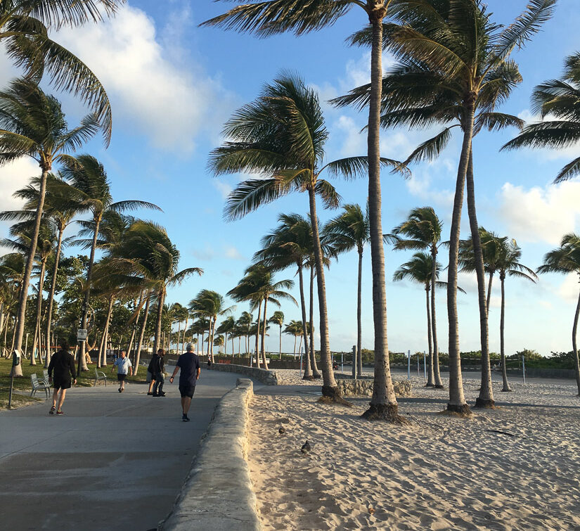 Miami Beach mit Plamen perfekt für einen Urlaub im Winter.