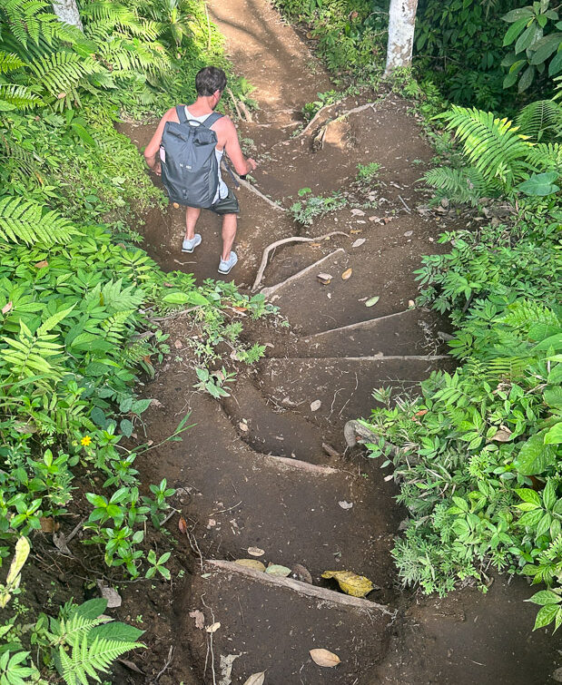 Stufen beim Dschungel-Trekking