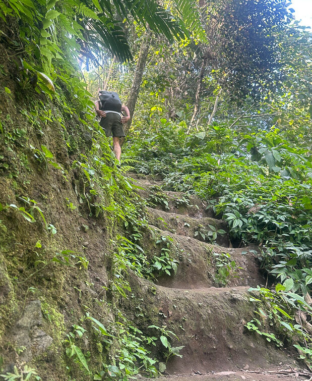 natürliche Treppen im Dschungel Ubud Bali