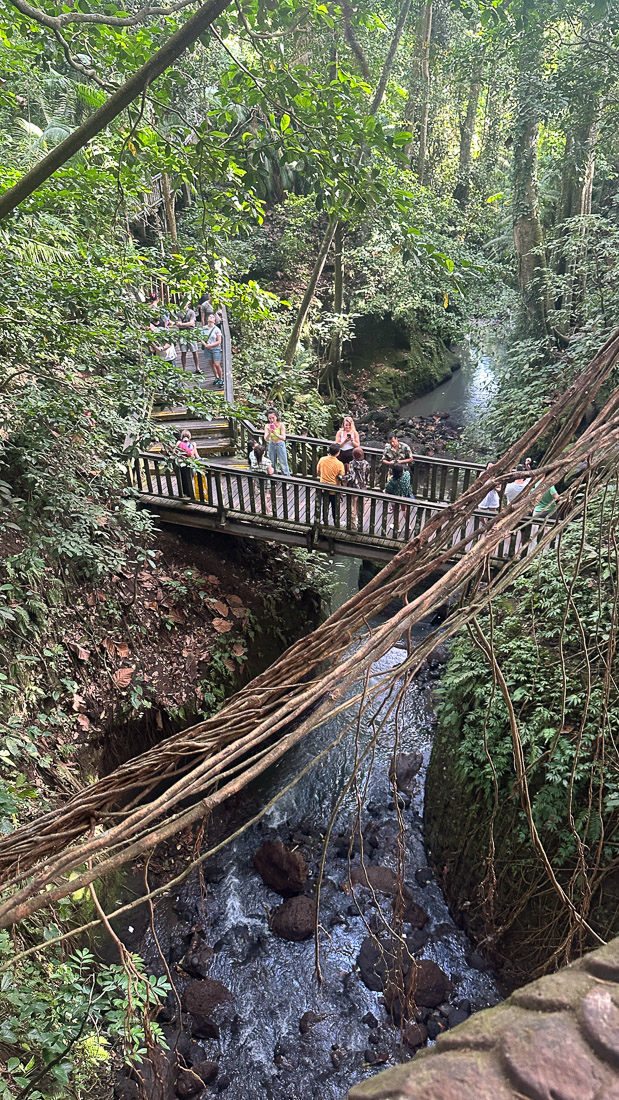 Kleiner Fluss im Monkey Forest mit Brücke