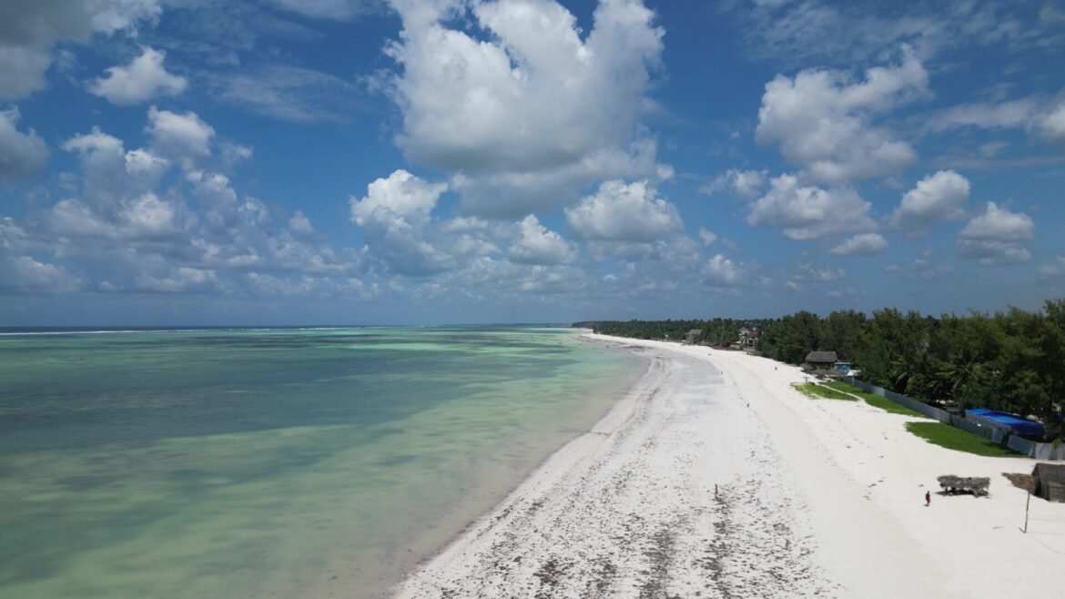 Sansibar Ebbe und Flut Gezeiten Ebbe und Flut