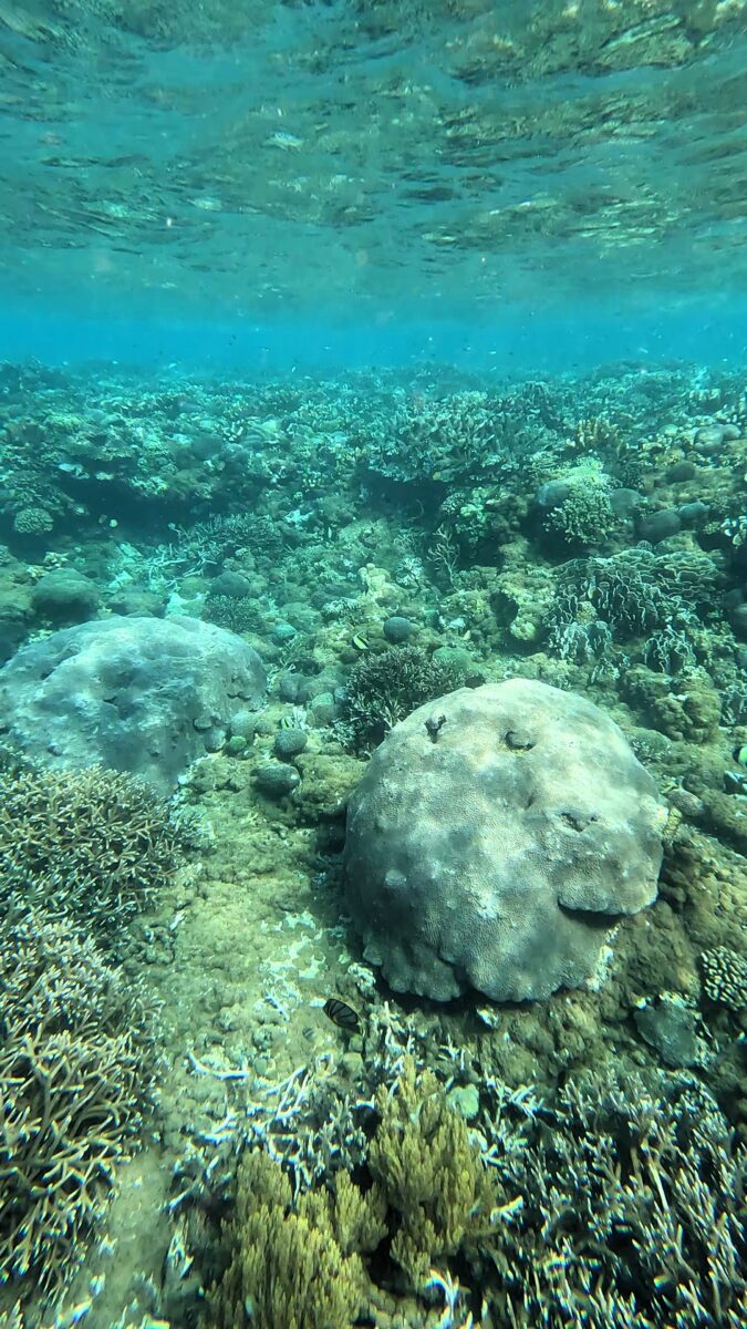 Nusa Penida Schnorcheln