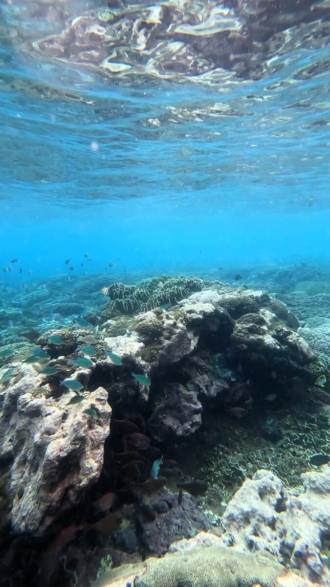 Schnorcheln Nusa Penida