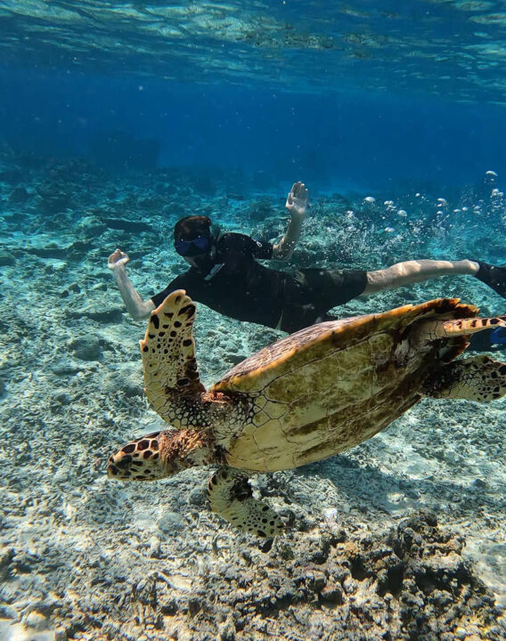Basti beim Schnorcheln mit Meeresschildkröte im Vordergrund