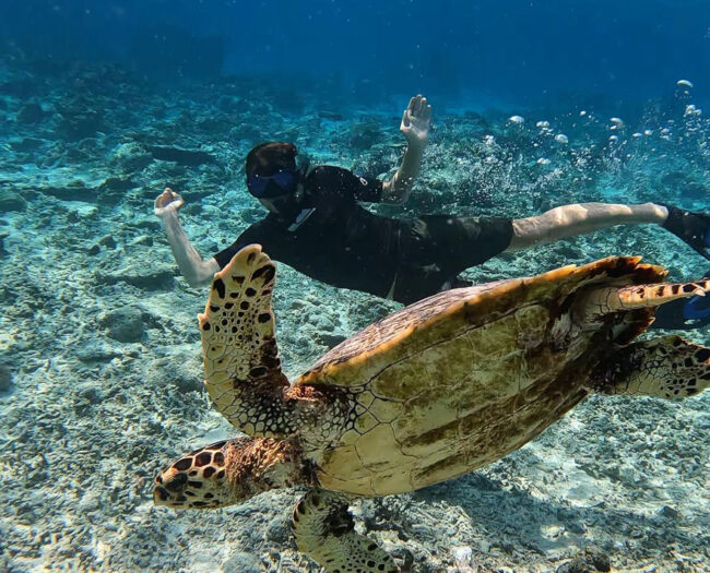 Basti beim Schnorcheln mit Meeresschildkröte im Vordergrund