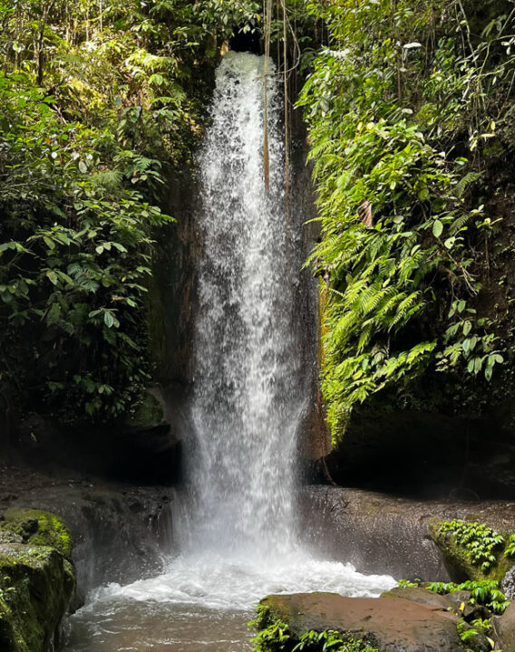 Manuaba I Wasserfall