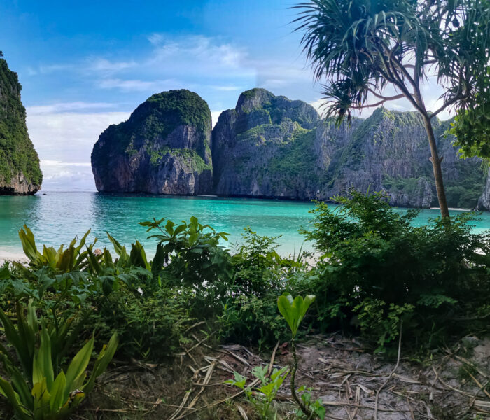 Maya Bay Ko Phi Phi Thailand mit Bäumen im Vordergrund
