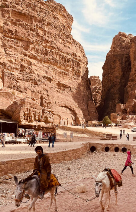 Esel vor der Felsenstadt Petra in Jordanien.